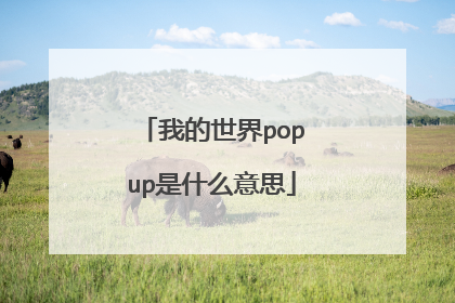 我的世界popup是什么意思