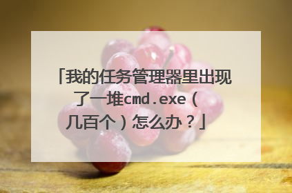 我的任务管理器里出现了一堆cmd.exe(几百个)怎么办?