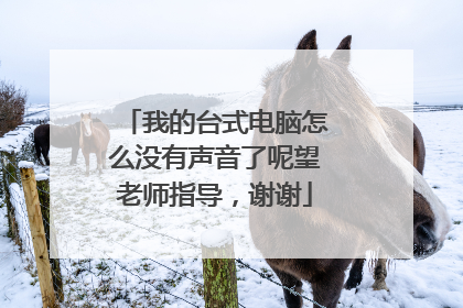 我的台式电脑怎么没有声音了呢望老师指导,谢谢
