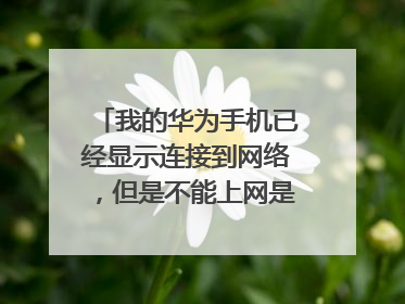 我的华为手机已经显示连接到网络，但是不能上网是什么原因？