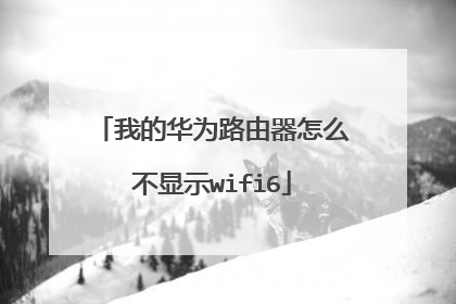 我的华为路由器怎么不显示wifi6