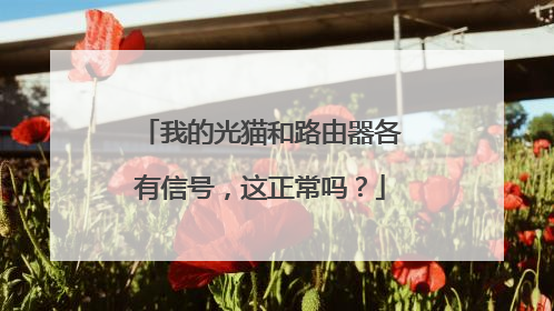 我的光猫和路由器各有信号，这正常吗？