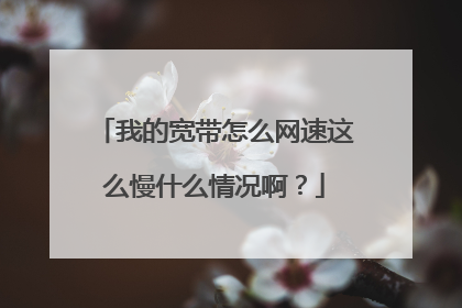 我的宽带怎么网速这么慢什么情况啊?