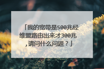 我的宽带是500兆经维盟路由出来才300兆,请问什么问题？