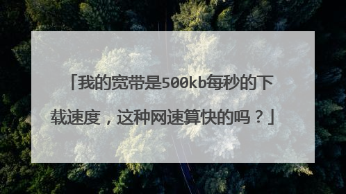 我的宽带是500kb每秒的下载速度,这种网速算快的吗?