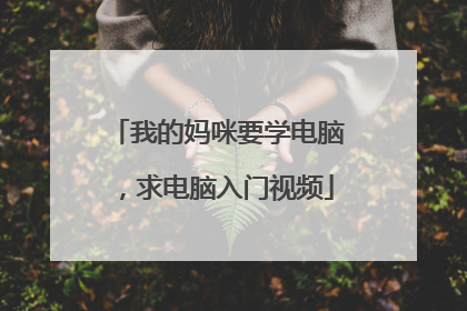 我的妈咪要学电脑,求电脑入门视频