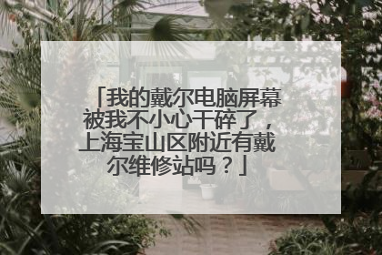 我的戴尔电脑屏幕被我不小心干碎了，上海宝山区附近有戴尔维修站吗？
