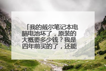 我的戴尔笔记本电脑电池坏了,原装的大概要多少钱?我是四年前买的了,还能换到原装的吗?