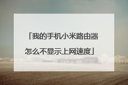 我的手机小米路由器怎么不显示上网速度