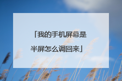 我的手机屏幕是半屏怎么调回来