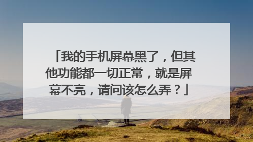 我的手机屏幕黑了,但其他功能都一切正常,就是屏幕不亮,请问该怎么弄?