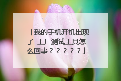 我的手机开机出现了 工厂测试工具怎么回事?????