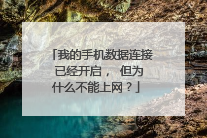 我的手机数据连接 已经开启， 但为什么不能上网？