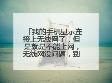 我的手机显示连接上无线网了，但是就是不能上网，无线网没问题，别的手机连接上就可以正常上网
