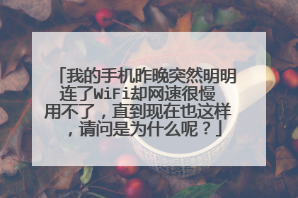 我的手机昨晚突然明明连了WiFi却网速很慢用不了,直到现在也这样,请问是为什么呢?