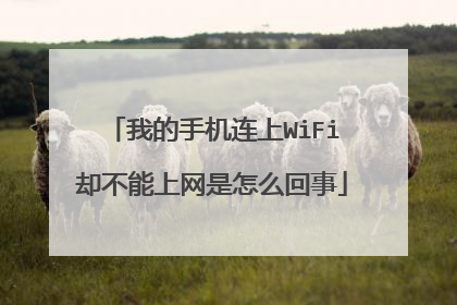 我的手机连上WiFi却不能上网是怎么回事