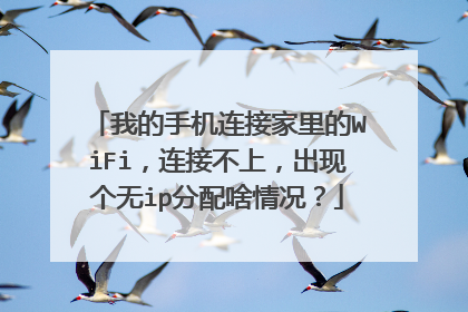 我的手机连接家里的WiFi,连接不上,出现个无ip分配啥情况?