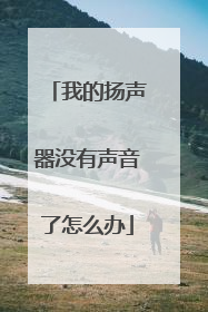 我的扬声器没有声音了怎么办