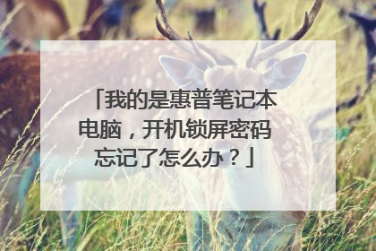 我的是惠普笔记本电脑,开机锁屏密码忘记了怎么办?