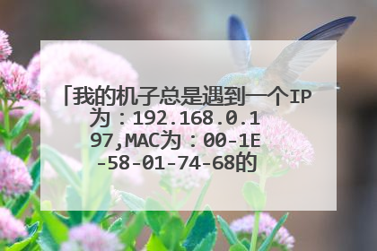 我的机子总是遇到一个IP为:192.168.0.197,MAC为:00-1E-58-01-74-68的人的ARP欺骗攻击