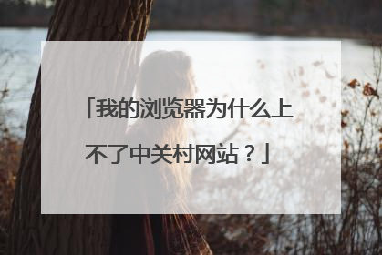 我的浏览器为什么上不了中关村网站？