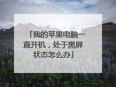 我的苹果电脑一直开机,处于黑屏状态怎么办
