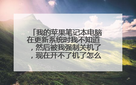 我的苹果笔记本电脑在更新系统时我不知道,然后被我强制关机了,现在开不了机了怎么办,求大神拯救