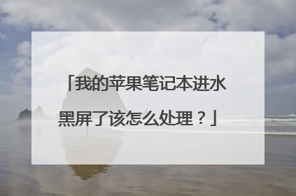 我的苹果笔记本进水黑屏了该怎么处理?