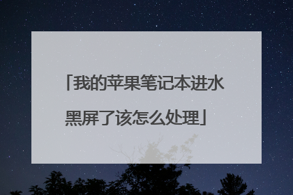 我的苹果笔记本进水黑屏了该怎么处理