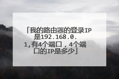 我的路由器的登录IP是192.168.0.1,有4个端口,4个端口的IP是多少