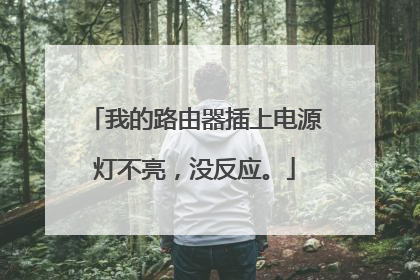 我的路由器插上电源灯不亮，没反应。