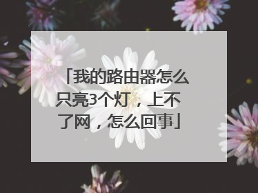 我的路由器怎么只亮3个灯,上不了网,怎么回事