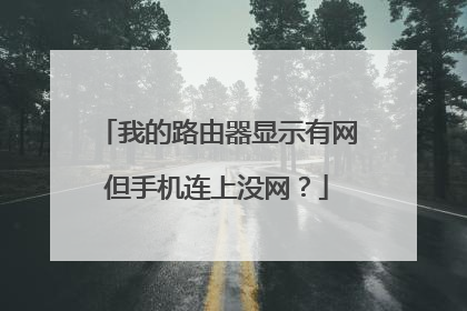 我的路由器显示有网但手机连上没网?