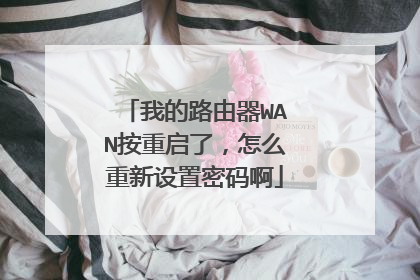 我的路由器WAN按重启了,怎么重新设置密码啊