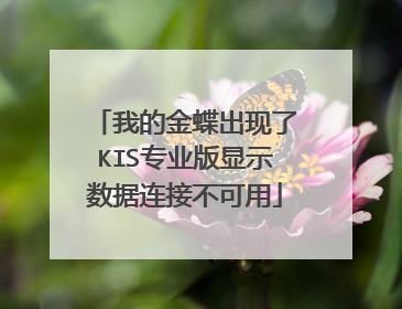 我的金蝶出现了KIS专业版显示数据连接不可用