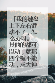 我的键盘上下左右键动不了,怎么办呀。 其他的都可以动,就那四个键不能动,求大神帮助
