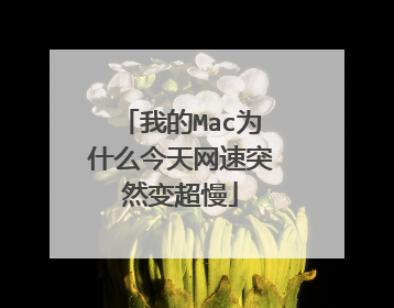 我的Mac为什么今天网速突然变超慢