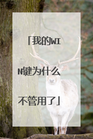 我的WIN键为什么不管用了