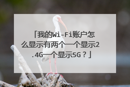 我的Wi-Fi账户怎么显示有两个一个显示2.4G一个显示5G？