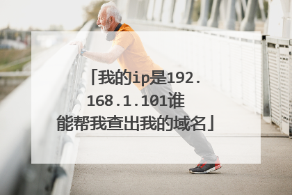 我的ip是192.168.1.101谁能帮我查出我的域名