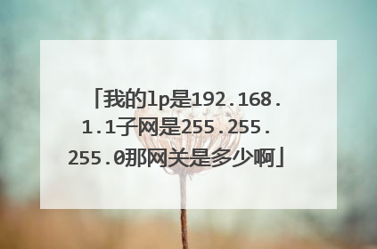 我的lp是192.168.1.1子网是255.255.255.0那网关是多少啊