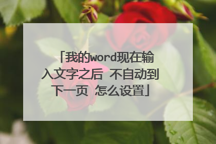 我的word现在输入文字之后 不自动到下一页 怎么设置