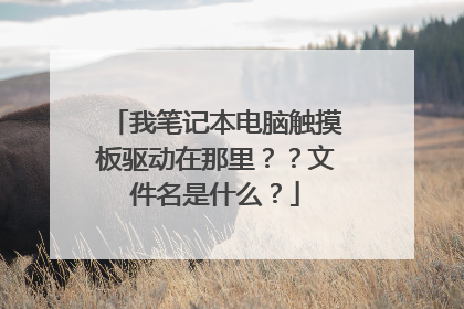 我笔记本电脑触摸板驱动在那里??文件名是什么?