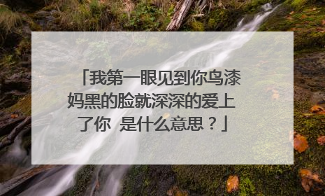 我第一眼见到你鸟漆妈黑的脸就深深的爱上了你 是什么意思？