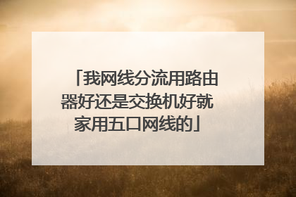 我网线分流用路由器好还是交换机好就家用五口网线的