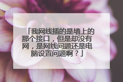 我网线插的是墙上的那个接口,但是却没有网,是网线问题还是电脑设置问题啊?