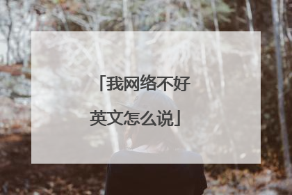 我网络不好英文怎么说