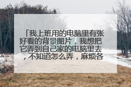 我上班用的电脑里有张好看的背景图片，我想把它弄到自己家的电脑里去，不知道怎么弄，麻烦各位给点提议谢