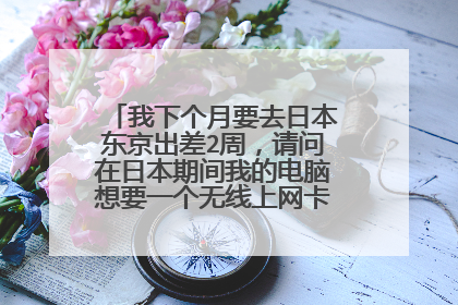 我下个月要去日本东京出差2周,请问在日本期间我的电脑想要一个无线上网卡,哪里有卖的啊?