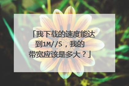 我下载的速度能达到1M//S，我的带宽应该是多大？